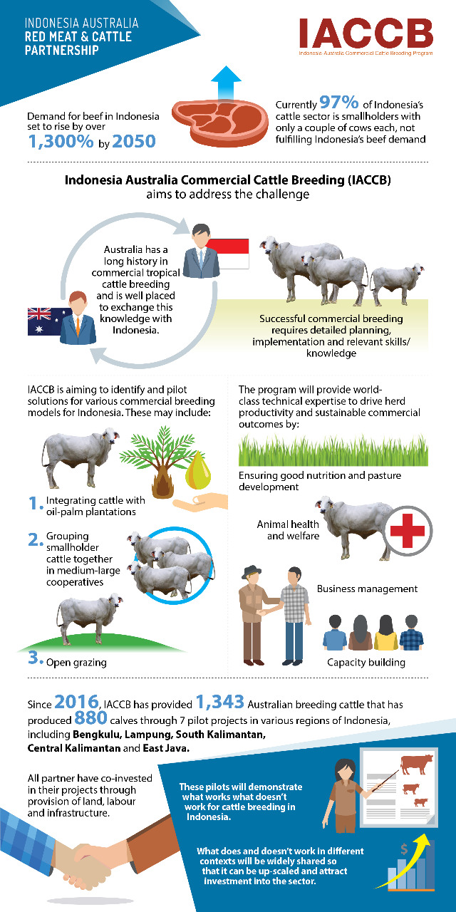 IACCBP - Indonesia-Australia Commercial Cattle Breeding Program