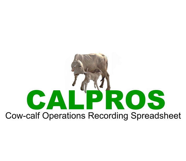 CALPROS (Cow-calf Operations Productivity Spreadsheet)